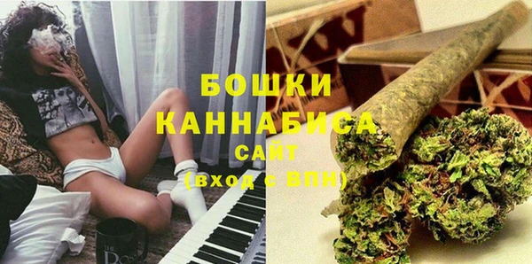 гидропоника Горнозаводск