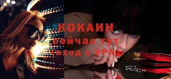 твердый Горняк