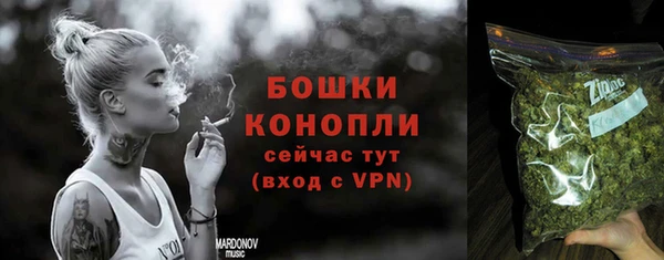 гидропоника Горнозаводск