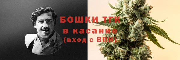 гашик Горно-Алтайск