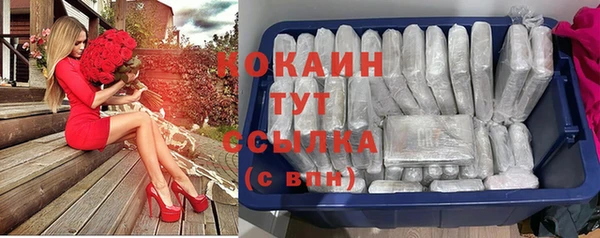 гидропоника Горнозаводск