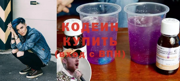 прущие грибы Вязьма