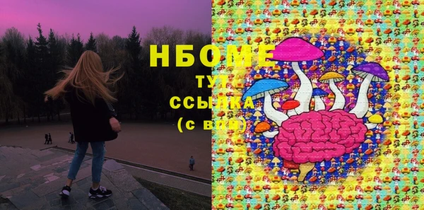гидропоника Горнозаводск