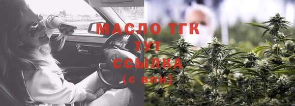 твердый Горняк